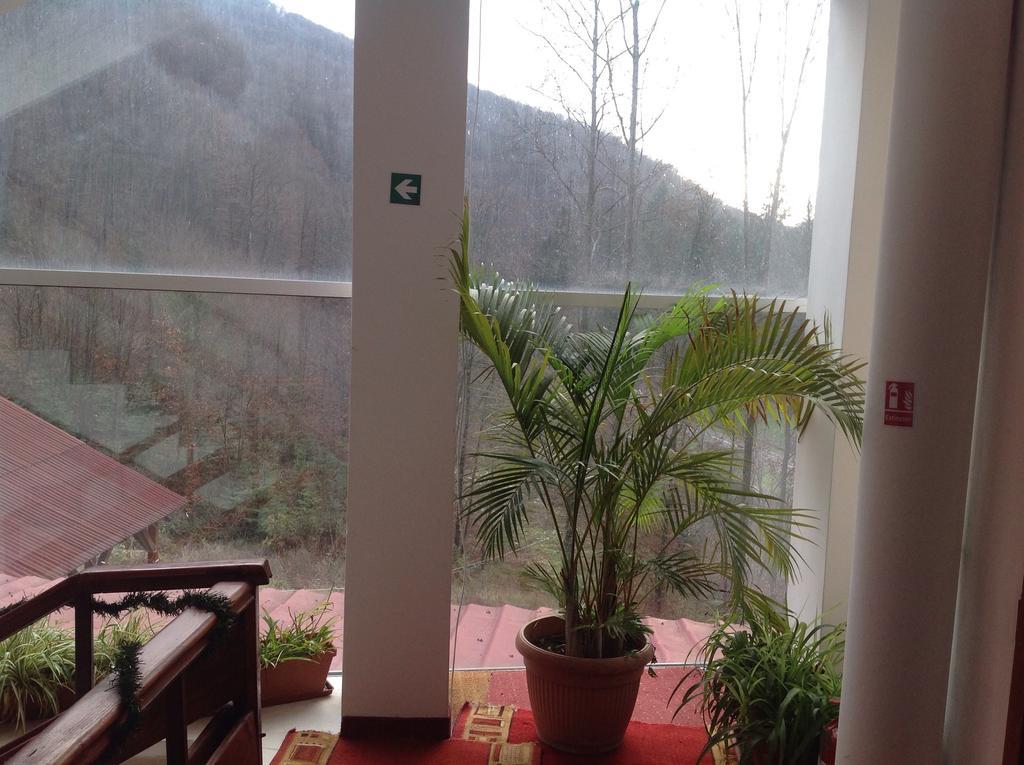 Hotel Panoramic Moneasa Kamer foto